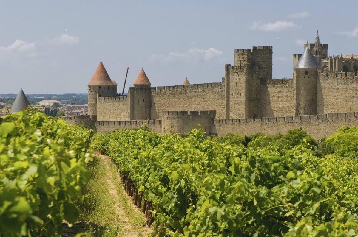 Medieval town of Carcassonne and vineyards